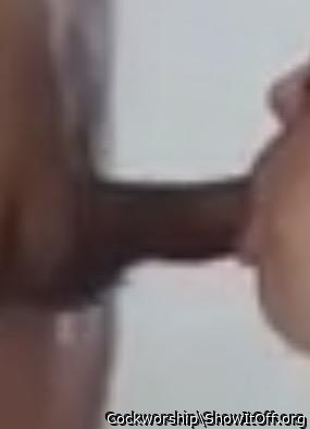 That is good cock sucking.  