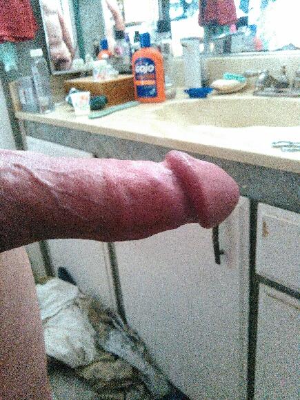 Adult image from fish4free