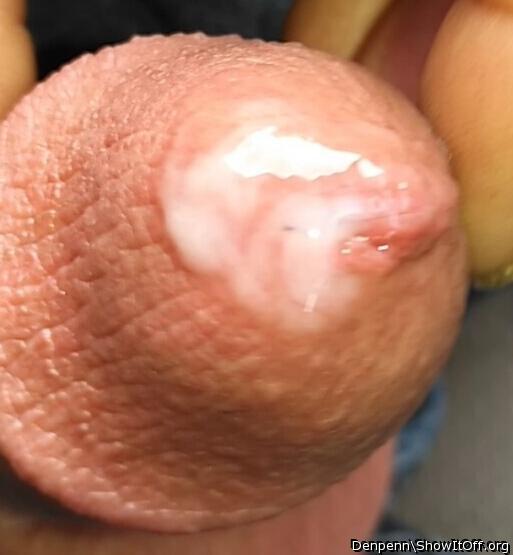 Adult image from Denpenn