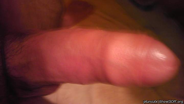 Adult image from ptuncutx