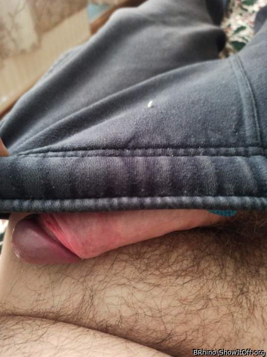 Adult image from BRhino