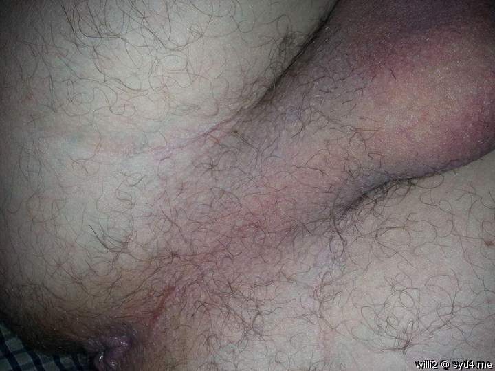 Adult image from WILLI2