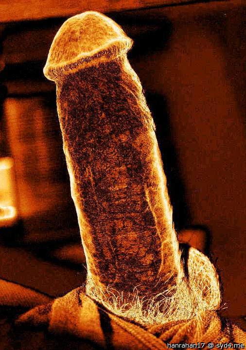 Adult image from Hanrahan17
