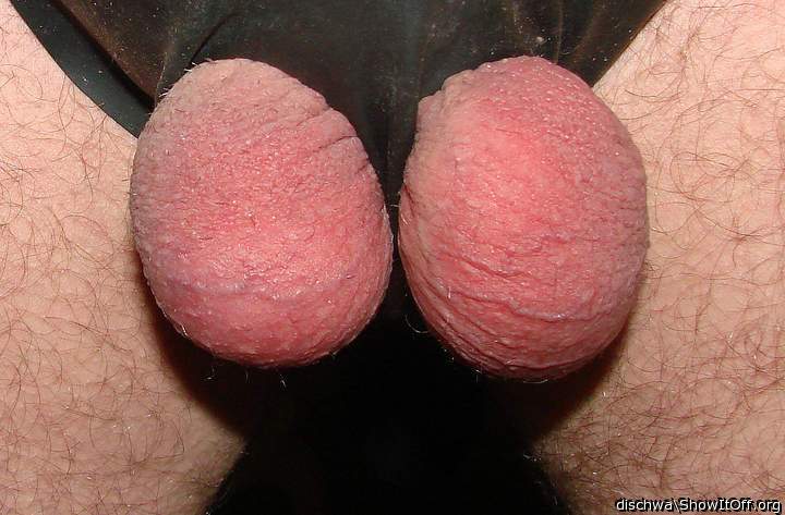 Adult image from dischwa