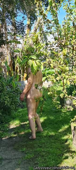 Gardening