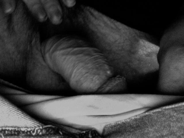 Adult image from Paxton