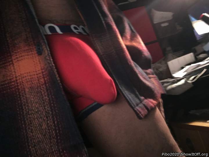 Adult image from Pibo2020