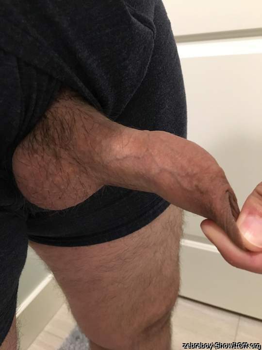 Adult image from zebraboy