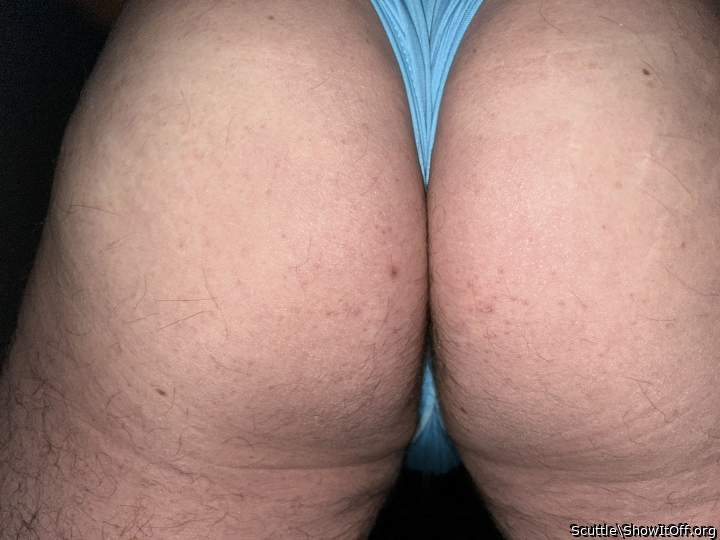 Adult image from Scuttle