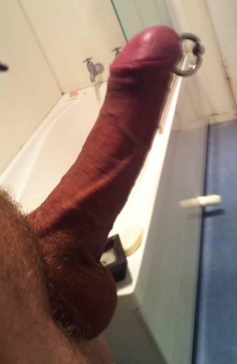 my cock