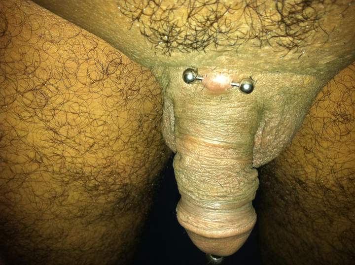 like pubic piercings   