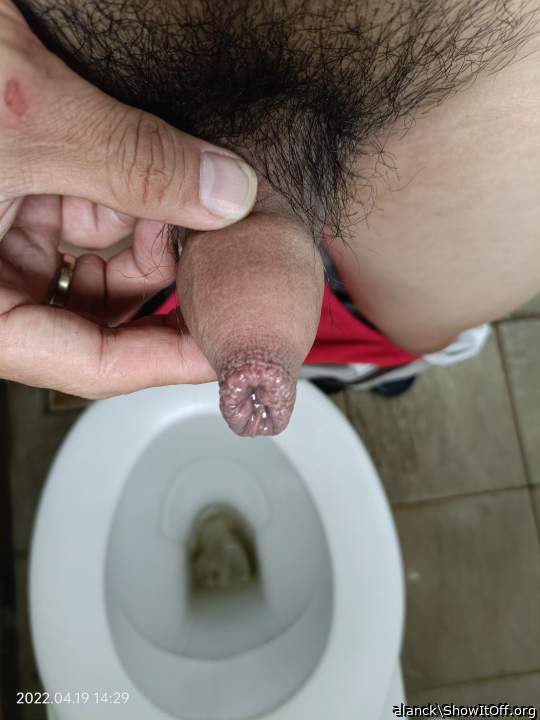 Adult image from alanck