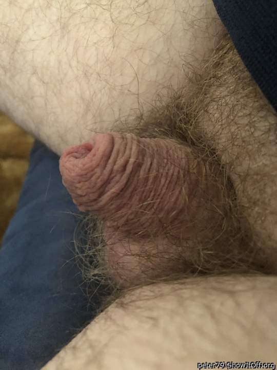 Adult image from peter79