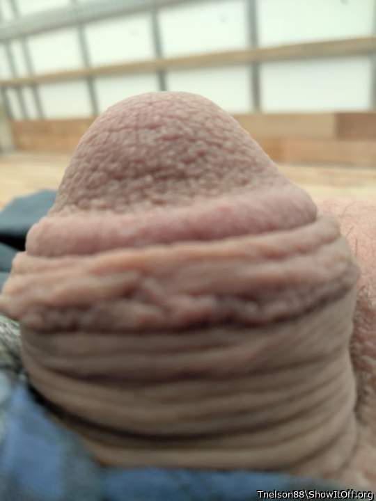 Adult image from Tnelson88