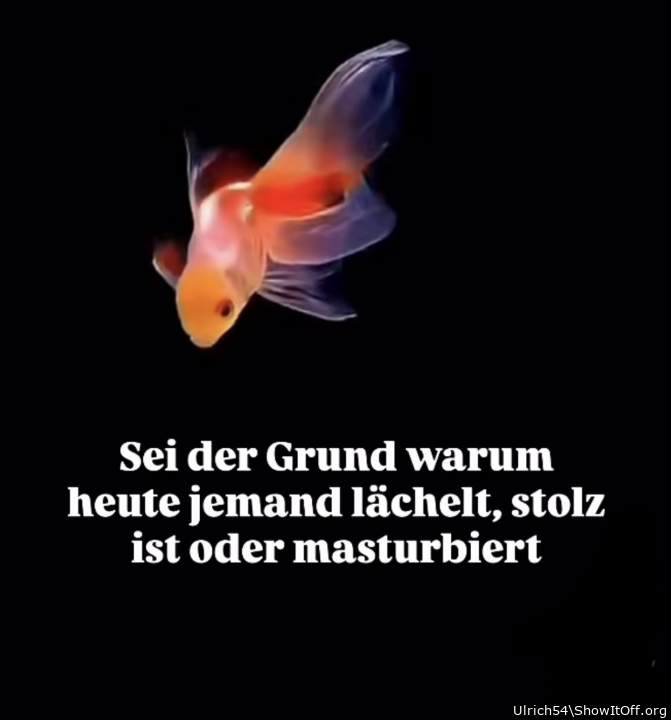 Adult image from Ulrich54