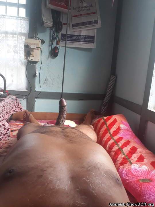 Adult image from Animesh