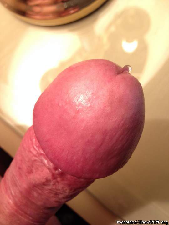 Adult image from roccotano