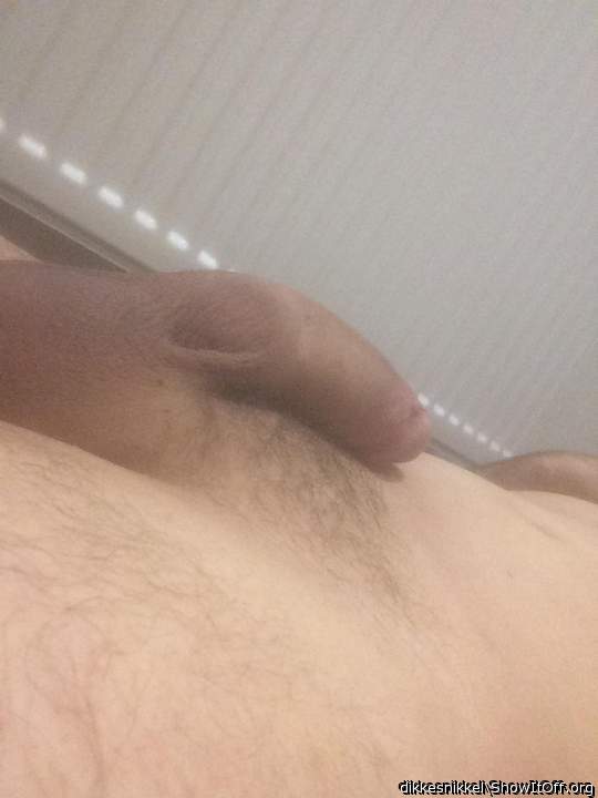 Adult image from dikkesnikkel
