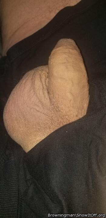 Adult image from Browningman