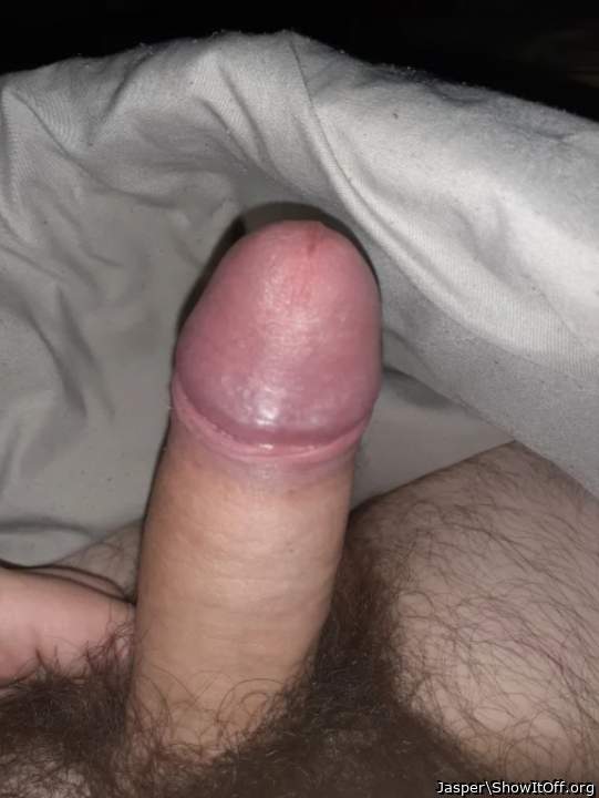 Adult image from Jasper