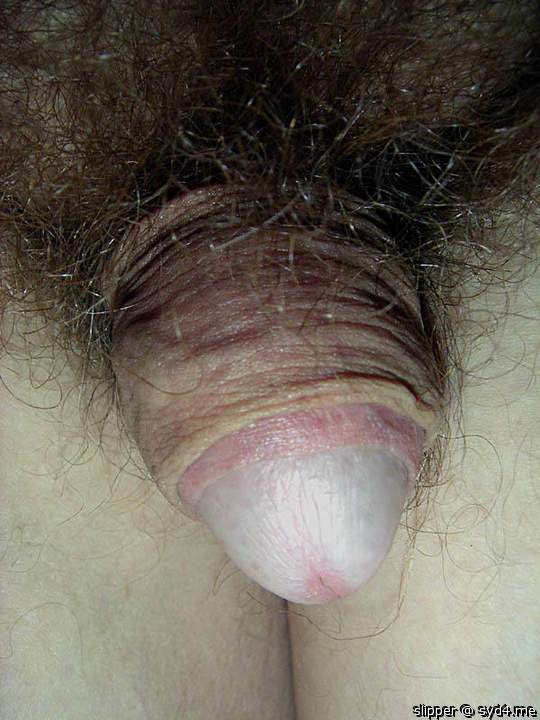 fill my mouth with your cum