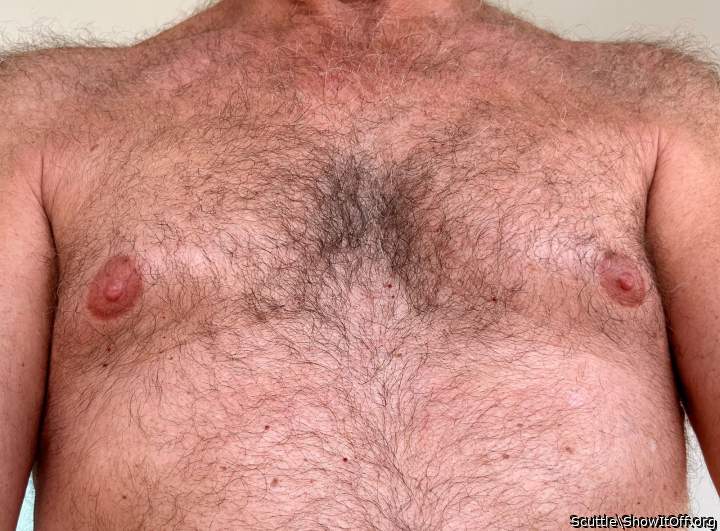 Adult image from Scuttle