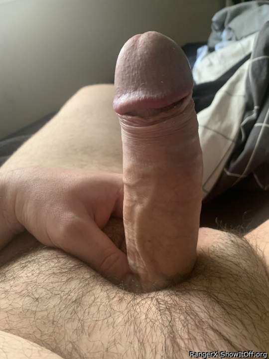 Adult image from RangerX