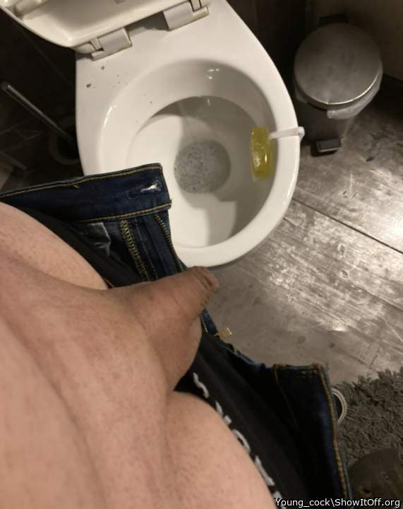 Adult image from Young_cock