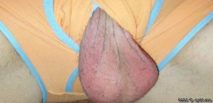Adult image from 0123
