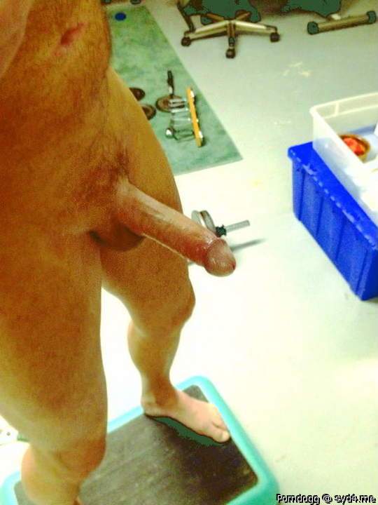 Adult image from Untamed