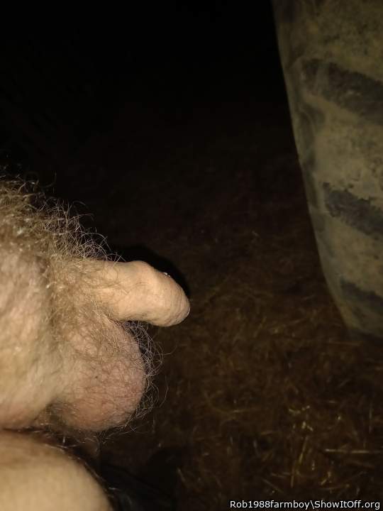 Adult image from Rob1988farmboy