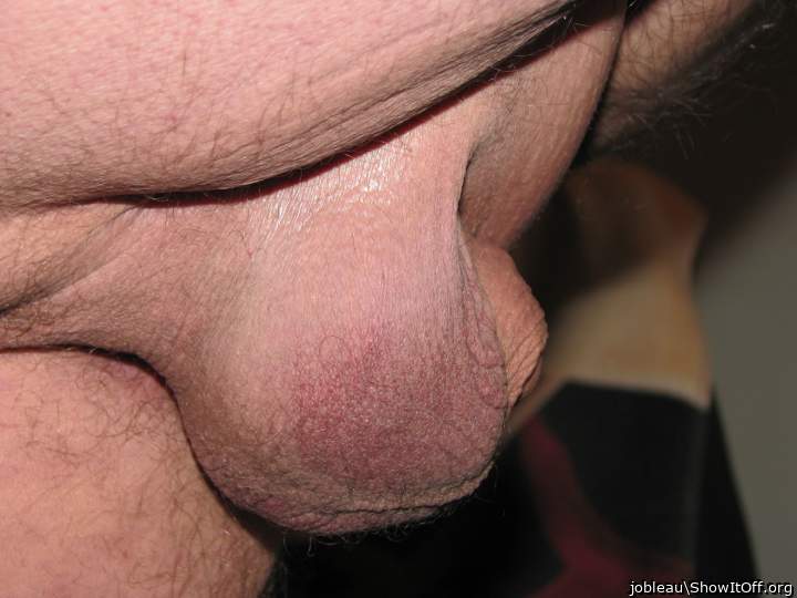 Adult image from jobleau
