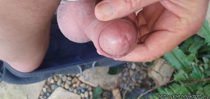 HARD WITH COCKRING