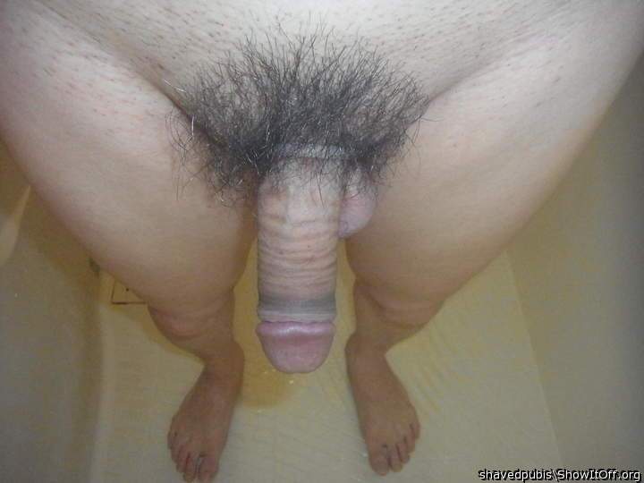Adult image from shavedpubis