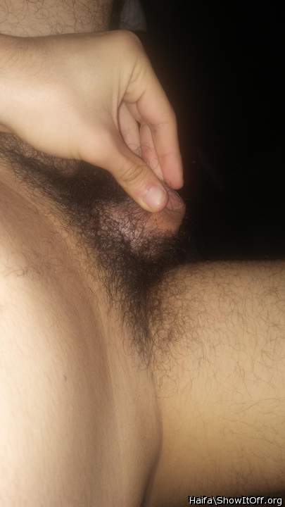 Adult image from Haifa