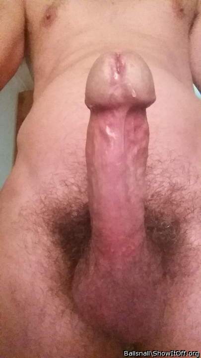 Adult image from ballsnall
