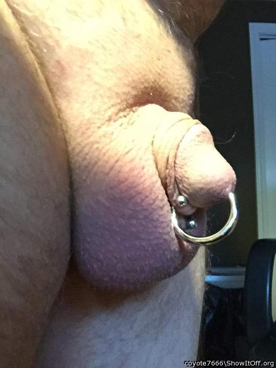 Adult image from coyote7666