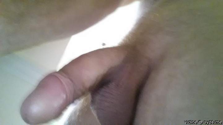 Adult image from vicline