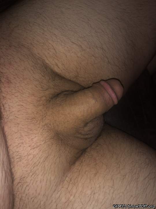 Adult image from GFMZ1