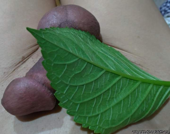 Adult image from oldper69