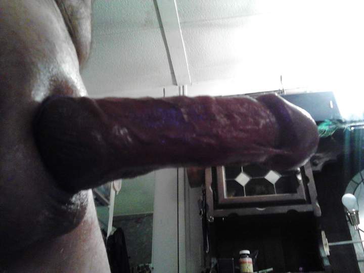Adult image from fish4free