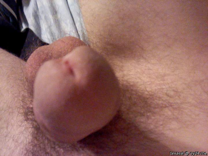Adult image from texasal