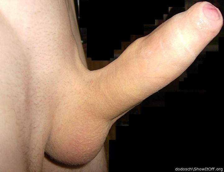 Adult image from dodosch