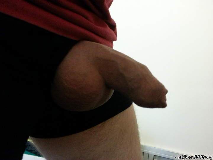 Adult image from Aps