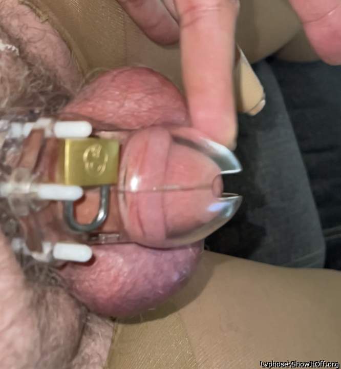 Adult image from Lvphose