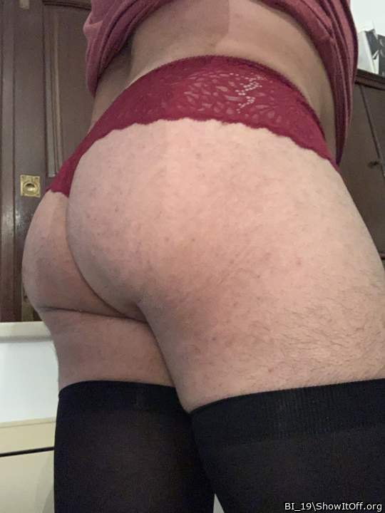 Adult image from BI_19
