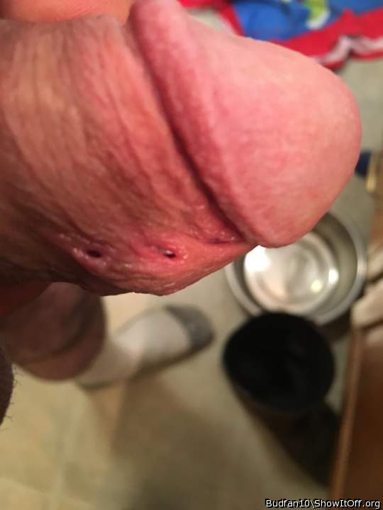 Adult image from Budfan10
