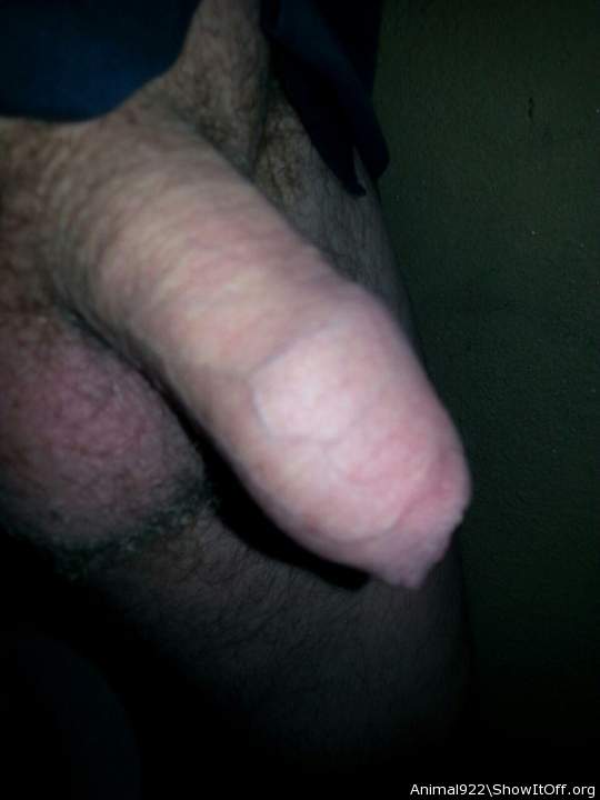 uncircumcised foreskin is fun to pull back and forth.