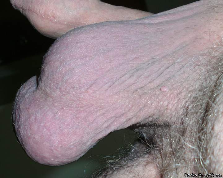Adult image from Rocko