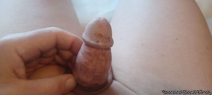 Adult image from Ginnemer